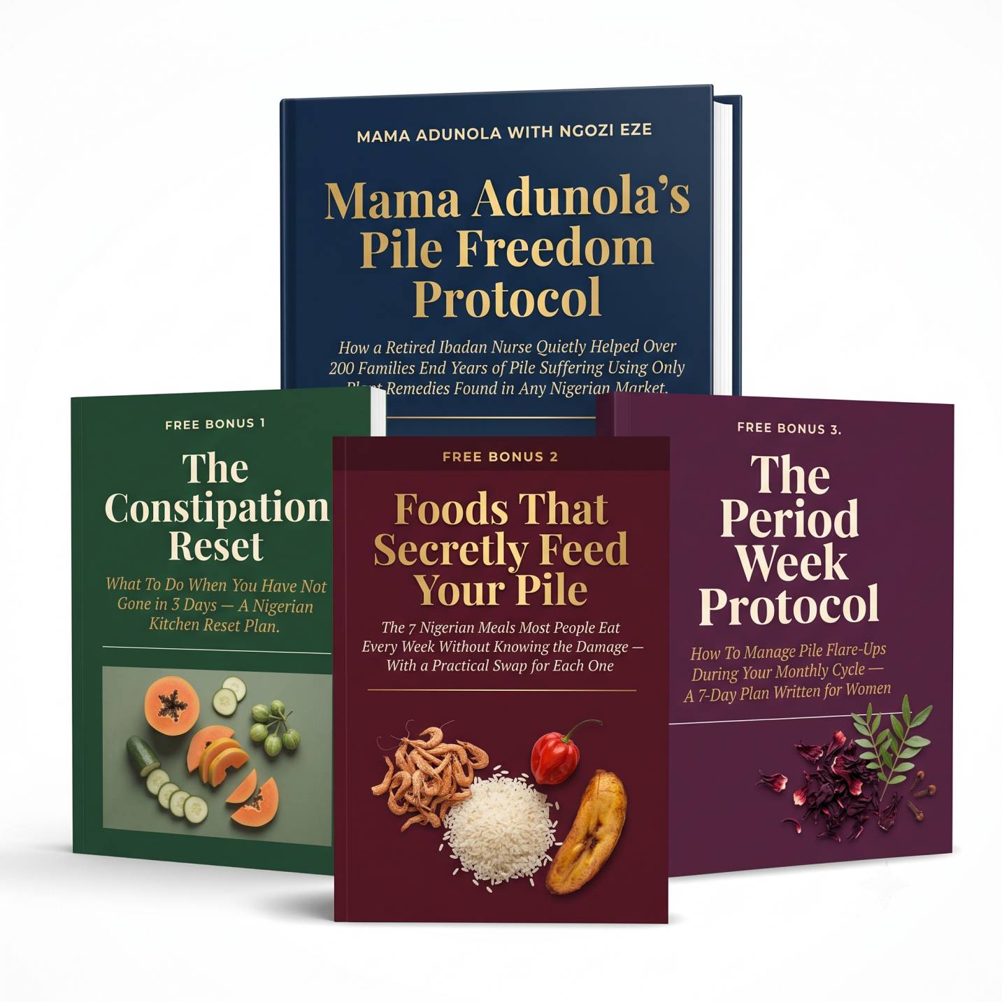 Full Bundle Mama Adunola's Pile Freedom Protocol and All Bonuses