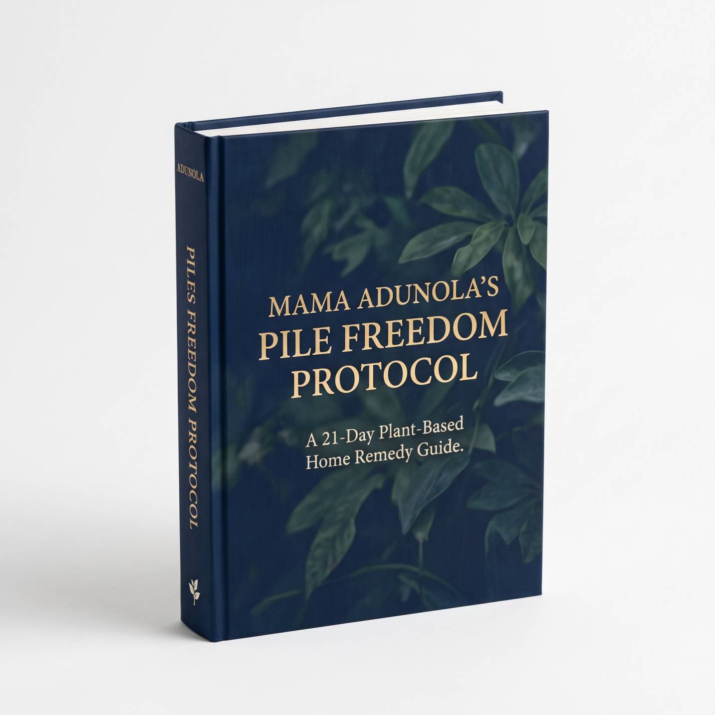 Mama Adunola's Pile Freedom Protocol PDF Guide